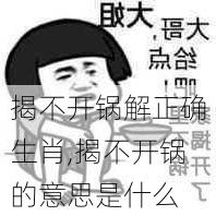 揭不开锅解正确生肖,揭不开锅的意思是什么