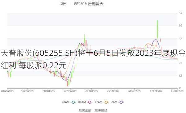 天普股份(605255.SH)将于6月5日发放2023年度现金红利 每股派0.22元