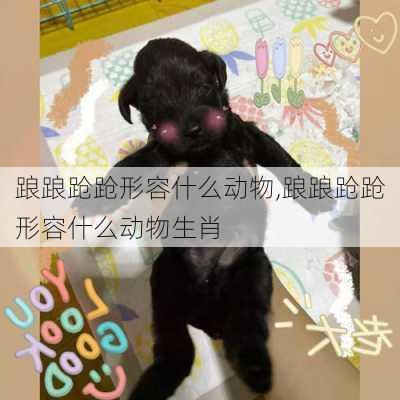 踉踉跄跄形容什么动物,踉踉跄跄形容什么动物生肖