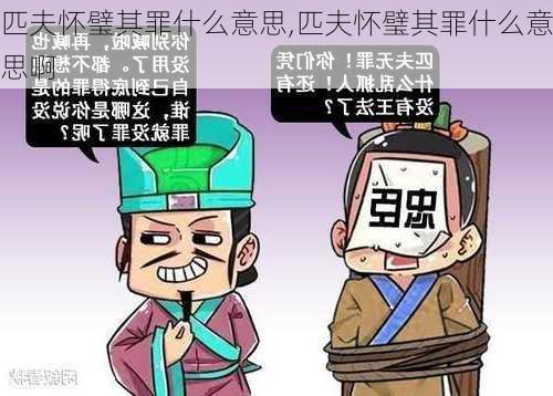 匹夫怀璧其罪什么意思,匹夫怀璧其罪什么意思啊