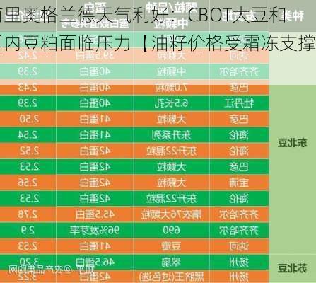 南里奥格兰德天气利好：CBOT大豆和国内豆粕面临压力【油籽价格受霜冻支撑】