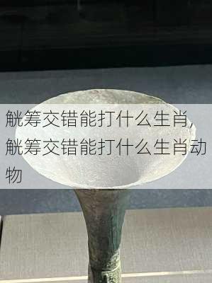 觥筹交错能打什么生肖,觥筹交错能打什么生肖动物