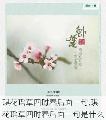 琪花瑶草四时春后面一句,琪花瑶草四时春后面一句是什么