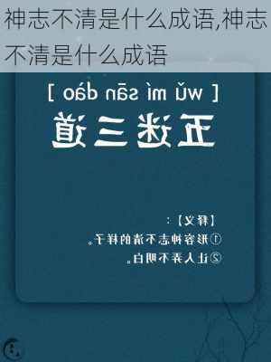 神志不清是什么成语,神志不清是什么成语