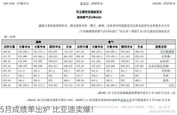 5月成绩单出炉 比亚迪卖爆！