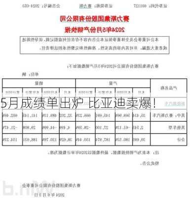 5月成绩单出炉 比亚迪卖爆！