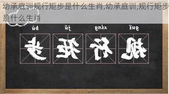 幼承庭训规行矩步是什么生肖,幼承庭训,规行矩步是什么生肖