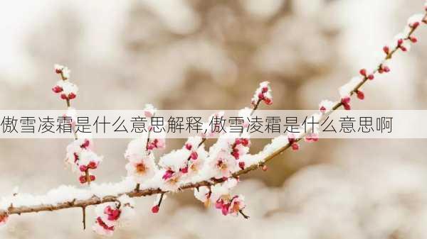 傲雪凌霜是什么意思解释,傲雪凌霜是什么意思啊