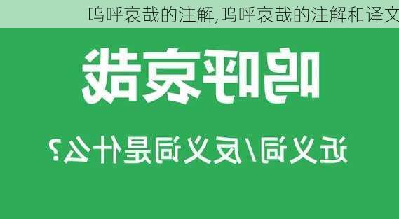 呜呼哀哉的注解,呜呼哀哉的注解和译文