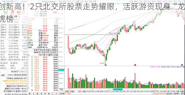 创新高！2只北交所股票走势耀眼，活跃游资现身“龙虎榜”