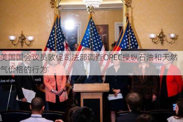 美国国会议员敦促司法部调查OPEC操纵石油和天然气价格的行为