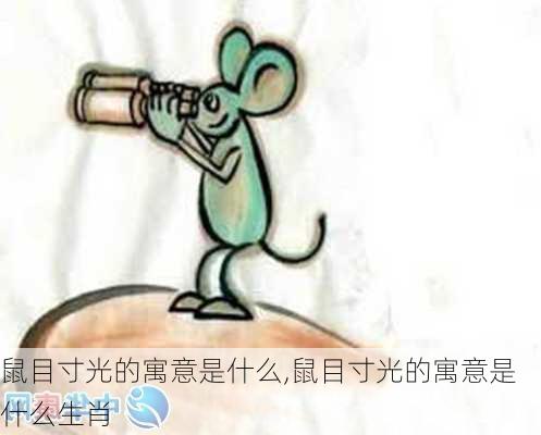 鼠目寸光的寓意是什么,鼠目寸光的寓意是什么生肖