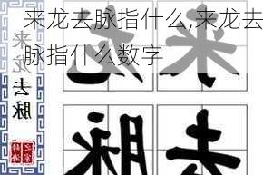 来龙去脉指什么,来龙去脉指什么数字