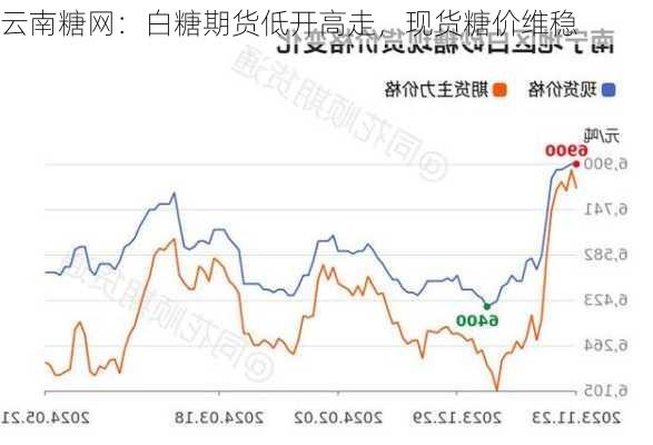 云南糖网：白糖期货低开高走，现货糖价维稳