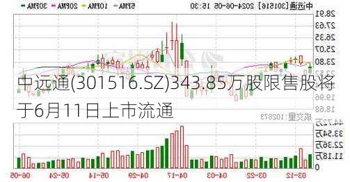 中远通(301516.SZ)343.85万股限售股将于6月11日上市流通