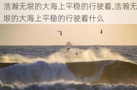 浩瀚无垠的大海上平稳的行驶着,浩瀚无垠的大海上平稳的行驶着什么