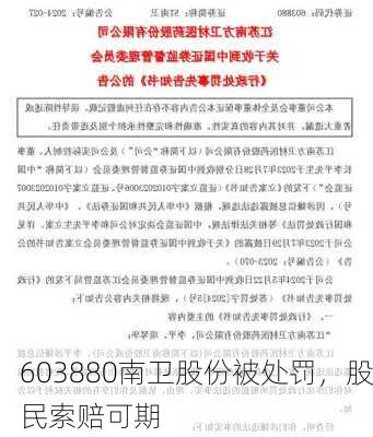 603880南卫股份被处罚，股民索赔可期