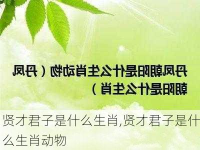 贤才君子是什么生肖,贤才君子是什么生肖动物