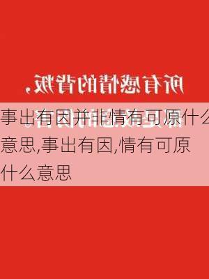 事出有因并非情有可原什么意思,事出有因,情有可原什么意思