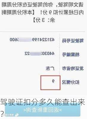 驾驶证扣分多久能查出来？