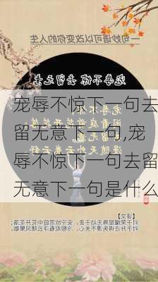 宠辱不惊下一句去留无意下一句,宠辱不惊下一句去留无意下一句是什么