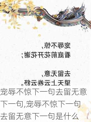 宠辱不惊下一句去留无意下一句,宠辱不惊下一句去留无意下一句是什么