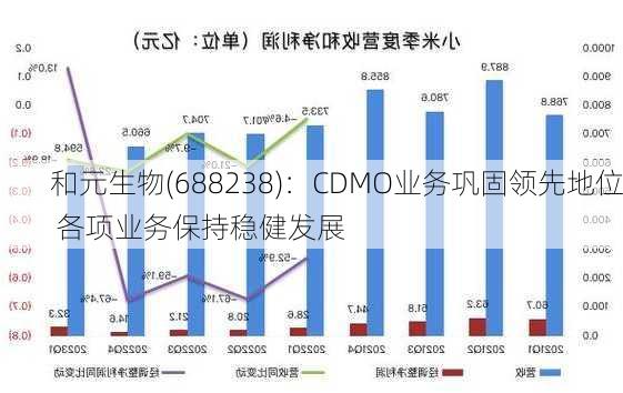 和元生物(688238)：CDMO业务巩固领先地位 各项业务保持稳健发展