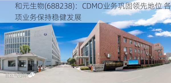 和元生物(688238)：CDMO业务巩固领先地位 各项业务保持稳健发展