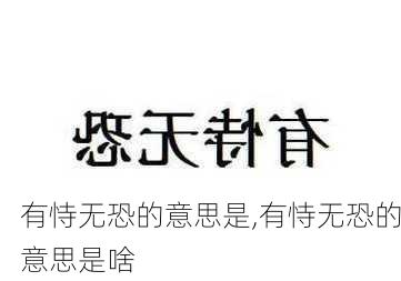 有恃无恐的意思是,有恃无恐的意思是啥