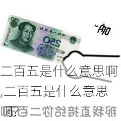 二百五是什么意思啊,二百五是什么意思啊?