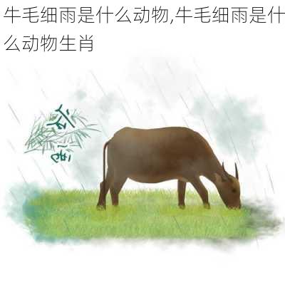 牛毛细雨是什么动物,牛毛细雨是什么动物生肖