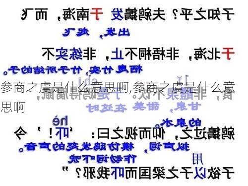 参商之虞是什么意思啊,参商之虞是什么意思啊