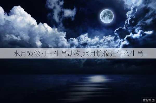 水月镜像打一生肖动物,水月镜像是什么生肖