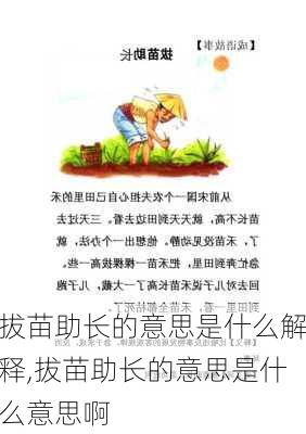 拔苗助长的意思是什么解释,拔苗助长的意思是什么意思啊