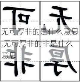 无可厚非的是什么意思,无可厚非的非是什么意思