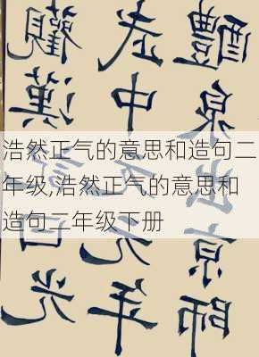 浩然正气的意思和造句二年级,浩然正气的意思和造句二年级下册