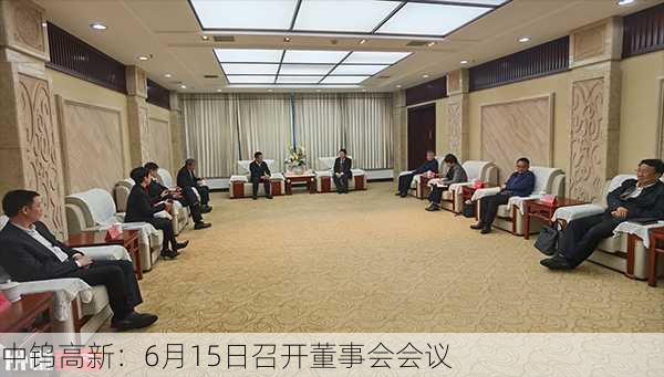 中钨高新：6月15日召开董事会会议