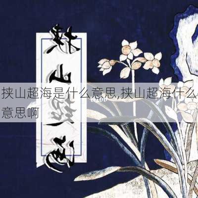 挟山超海是什么意思,挟山超海什么意思啊