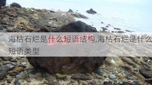 海枯石烂是什么短语结构,海枯石烂是什么短语类型