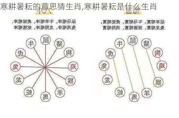 寒耕暑耘的意思猜生肖,寒耕暑耘是什么生肖