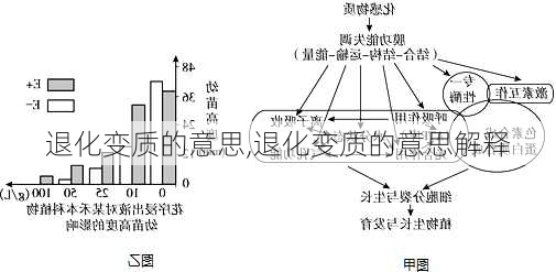 退化变质的意思,退化变质的意思解释