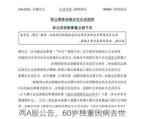 两A股公告，60岁独董因病去世