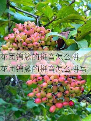 花团锦簇的拼音怎么拼,花团锦簇的拼音怎么拼写