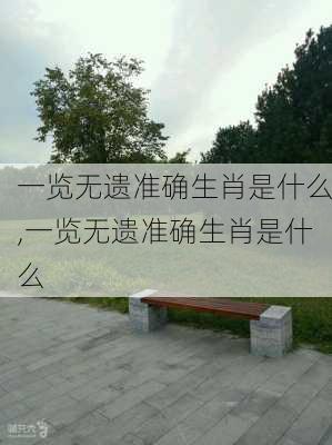 一览无遗准确生肖是什么,一览无遗准确生肖是什么