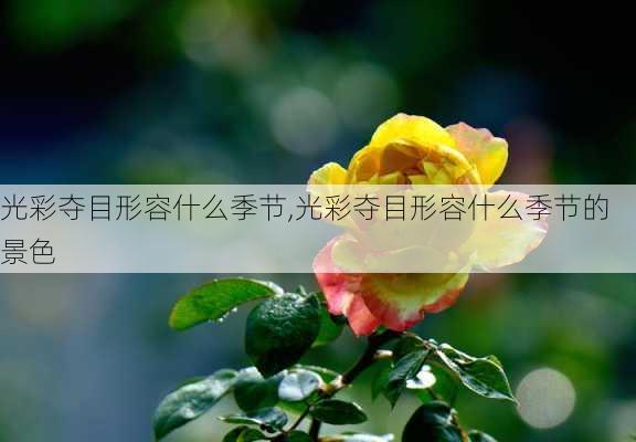 光彩夺目形容什么季节,光彩夺目形容什么季节的景色