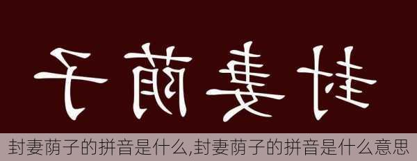 封妻荫子的拼音是什么,封妻荫子的拼音是什么意思