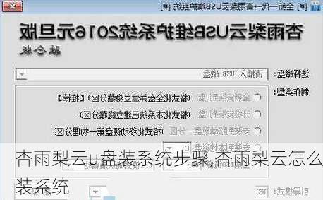杏雨梨云u盘装系统步骤,杏雨梨云怎么装系统