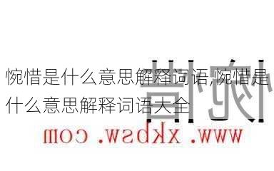 惋惜是什么意思解释词语,惋惜是什么意思解释词语大全