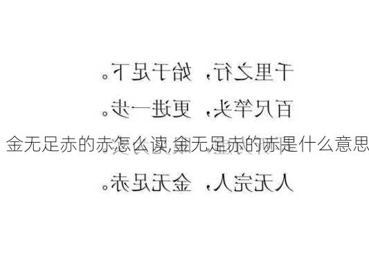 金无足赤的赤怎么读,金无足赤的赤是什么意思