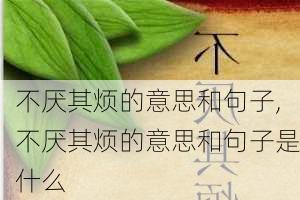 不厌其烦的意思和句子,不厌其烦的意思和句子是什么